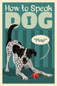 Lantern Press Image of the Day: How to Speak Dog – Play? 1 How_To_Speak_Dog_Play