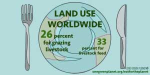 10 Shocking Environmental Facts That Will Make You Reconsider Putting Meat on Your Plate 1 land_use_worldwide_for_livestock