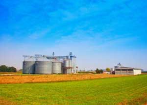 The Environmental Downside of Biofuel Crops 1 Biofuel_Crops
