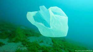 EU To Reduce Use Of Plastic Bags By 80% 1 plastic_bag_in_ocean