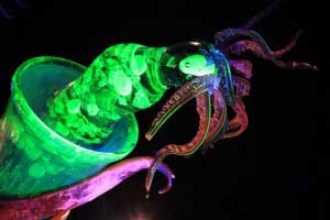 Environmental Artist Creates Magnificent Glass Sculptures of Plankton to Illustrate the Monumental Problem of Ocean Plastic Pollution 1 Glass Sculptures of Plankton