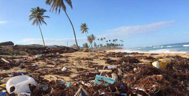 Attention Retailers: You’re Green is Showing (and That’s a Good Thing!) 2 plastic_bags_on_beach