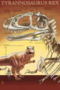 Lantern Press Image of the Day: Tyrannosaurus Rex Facts – Original Poster 1 Lantern_Press_-_Tyrannosaurus_Rex_Facts
