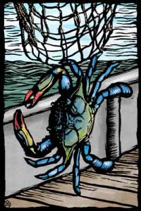 Lantern Press Image of the Day: Blue Crab 1 Blue Crab