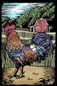 Lantern Press Image of the Day: Rooster 1 Rooster