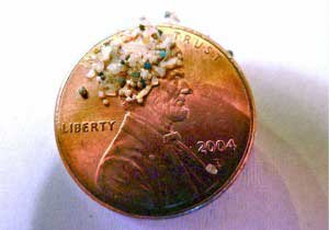 Ban on Products with Microbeads Signed into Law in New Jersey 1 microbeads_on_a_penny